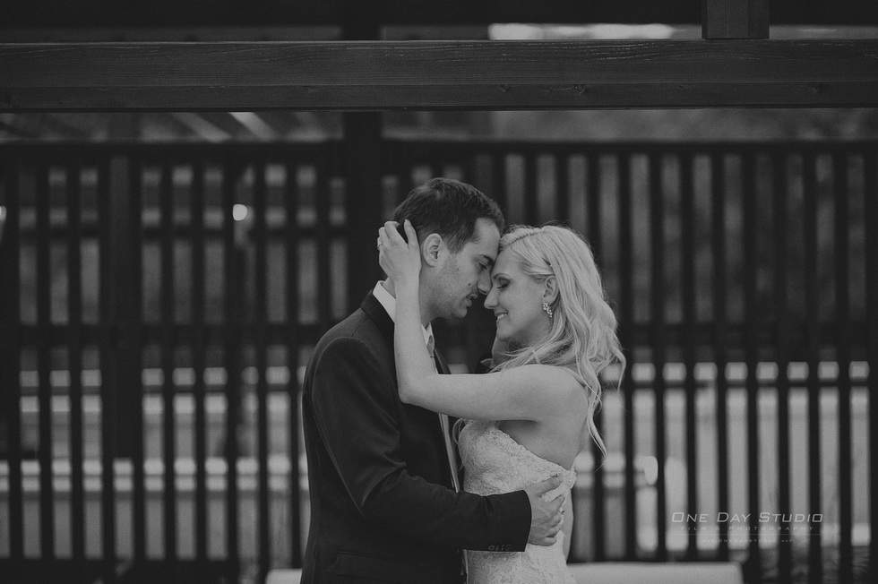 OneDayStudio_Slovenia wedding 2013-05  006