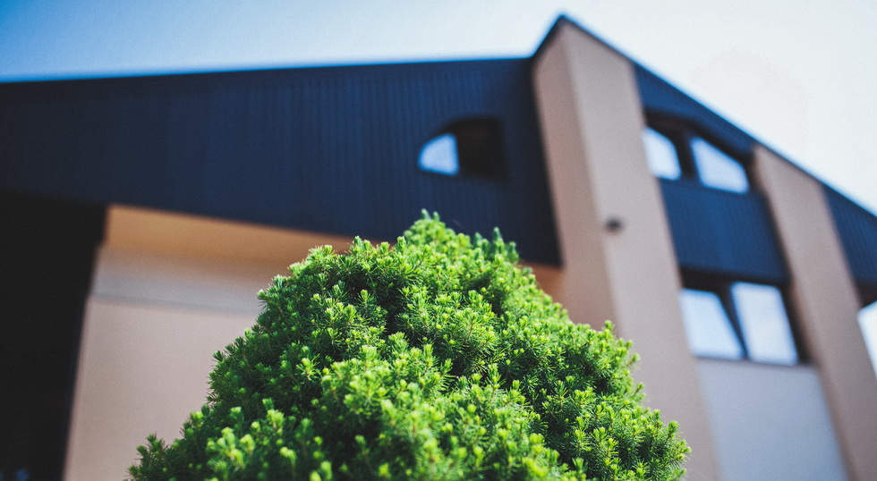 Indian Wedding in Croatia