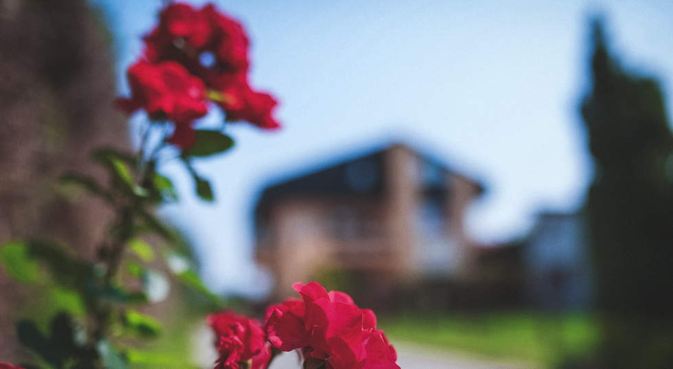 One Day Studio_indian wedding in croatia 002